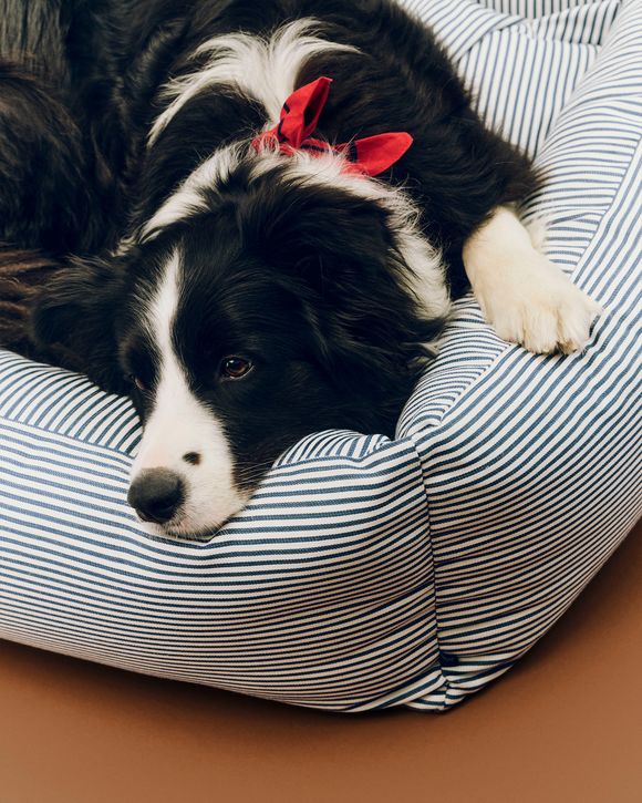 HAY Dogs Bed ZipLarge