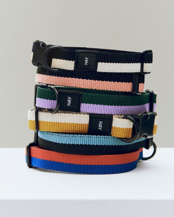 HAY Dogs Collar Flat-M/L