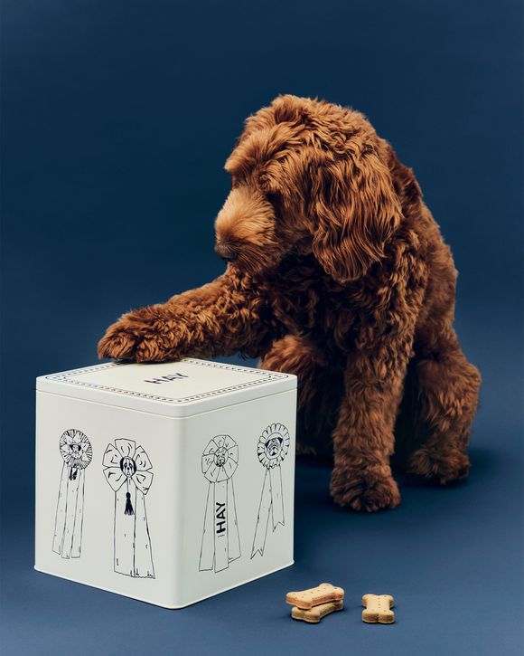 HAY Dogs Food Storage TinLarge