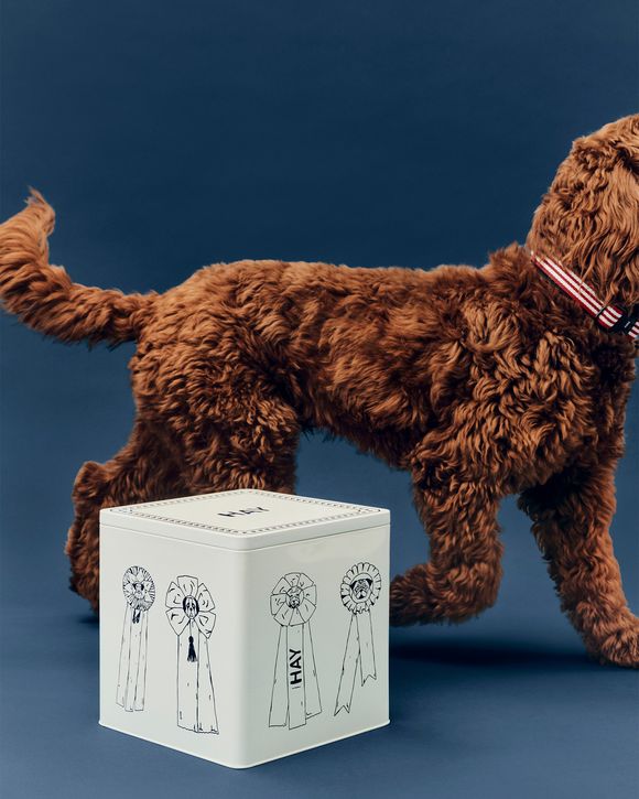 HAY Dogs Food Storage TinLarge