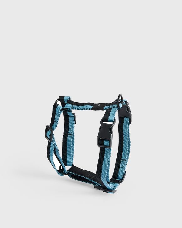 HAY Dogs Harness-Medium