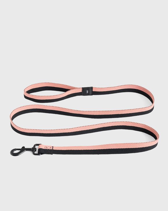 HAY Dogs LeashFlat M/L