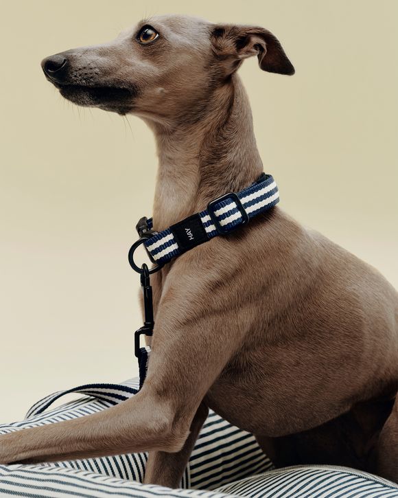 HAY Dogs LeashFlat S/M