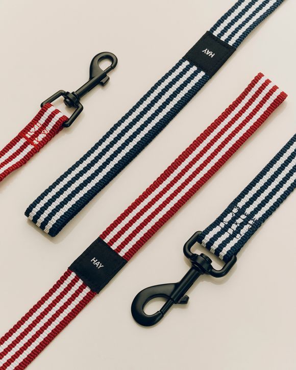 HAY Dogs LeashFlat S/M