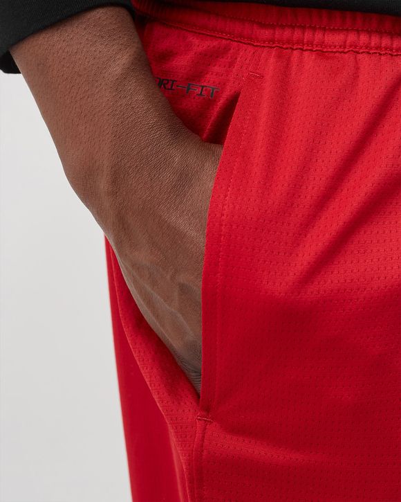 Dri-FIT Air Knit Shorts