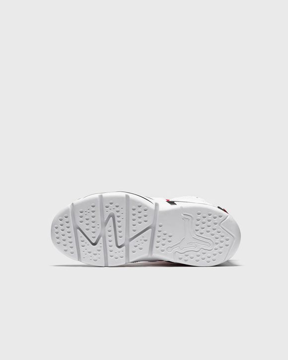 Jordan 6 Retro Little Flex (PS)