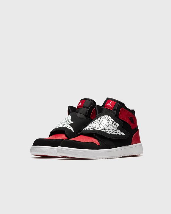 Sky Jordan 1
