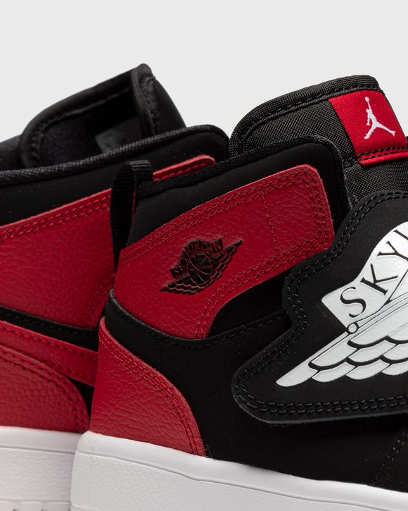 Sky Jordan 1