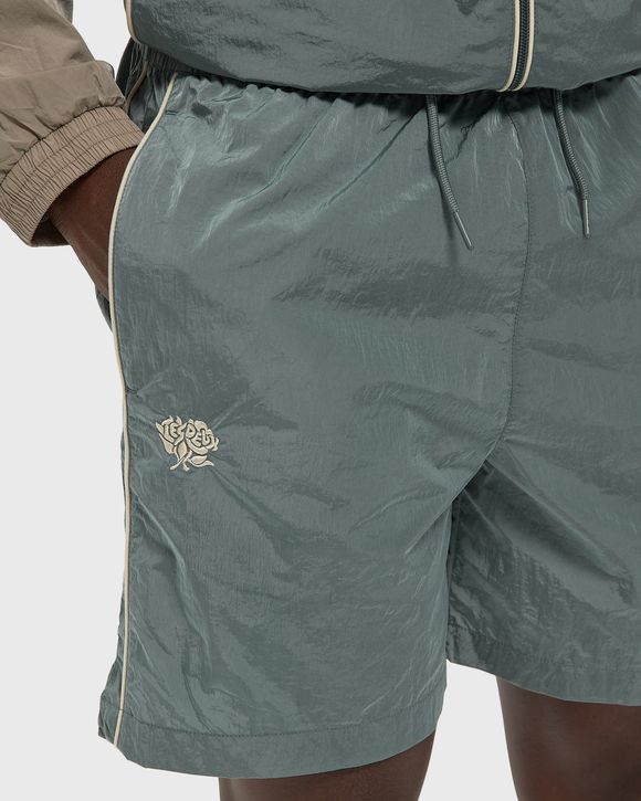 Shiny Crisp Shorts