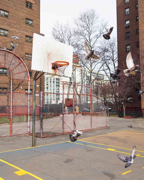 Brooklyn Jets