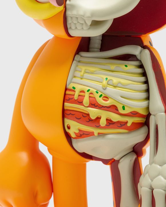 XXRAY Plus Garfield