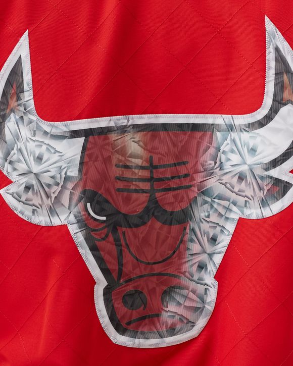 75th Anniversary Warm Up Jacket CHICAGO BULLS