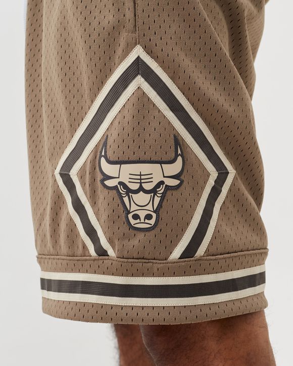 ASTRO SWINGMAN SHORT - CHICAGO BULLS