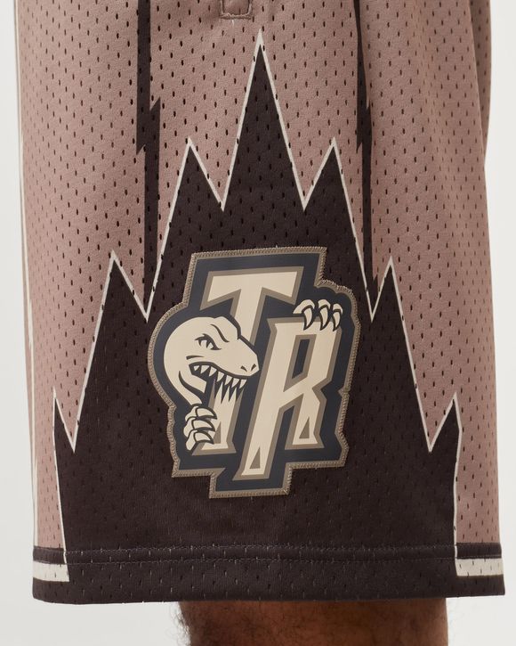 ASTRO SWINGMAN SHORT - TORONTO RAPTORS