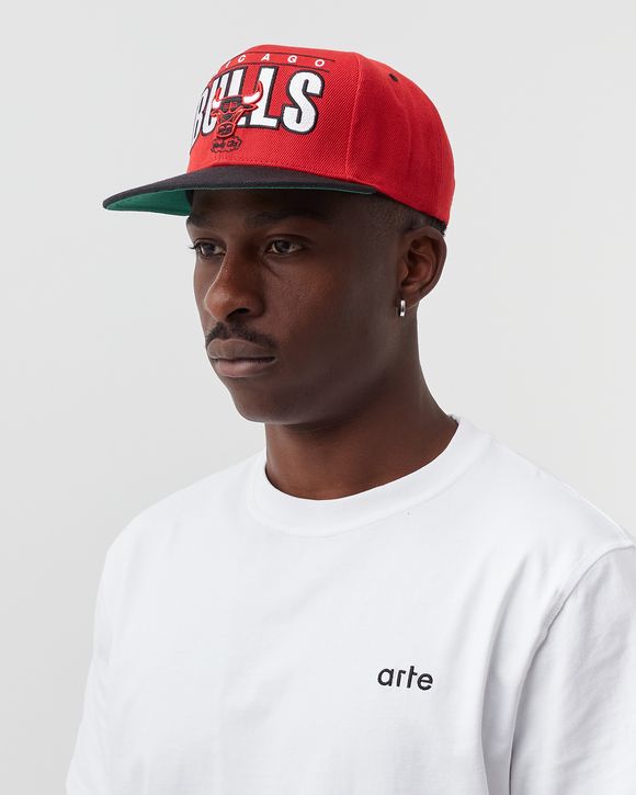 CHICAGO BULLS Billboard Classic Snapback HWC