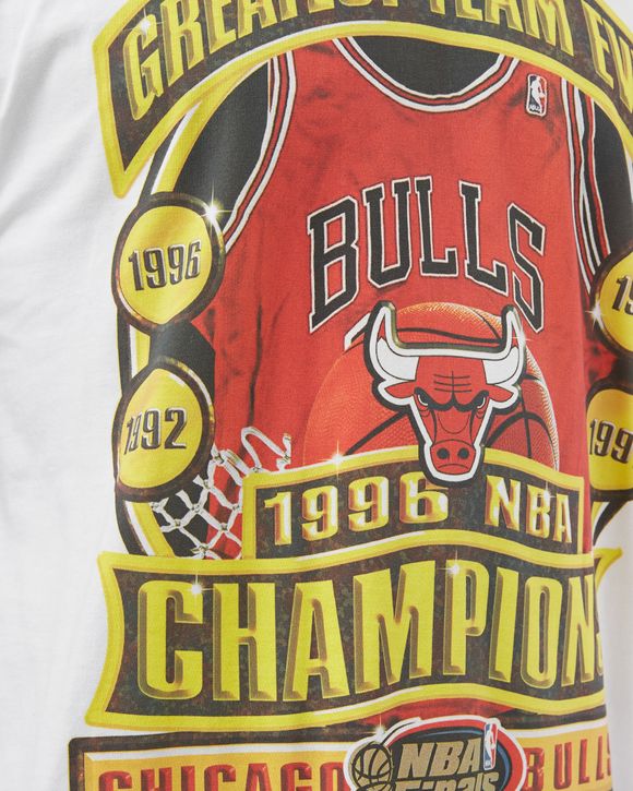 CHICAGO BULLS Champions Print Tee