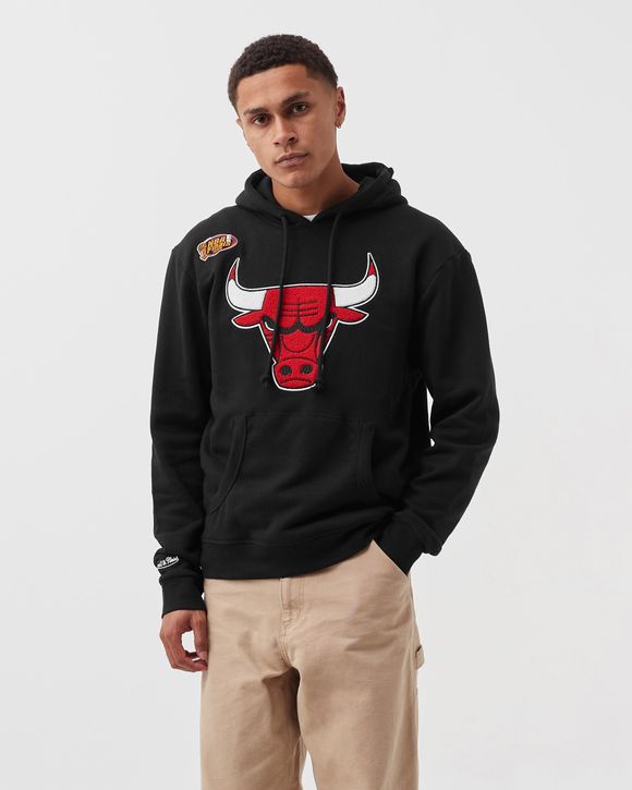 CHICAGO BULLS CHENILLE LOGO HOODIE