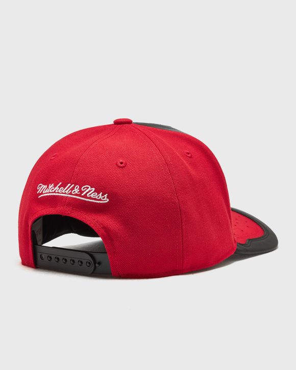 NBA DAY ONE CHICAGO BULLS PRO SNAPBACK