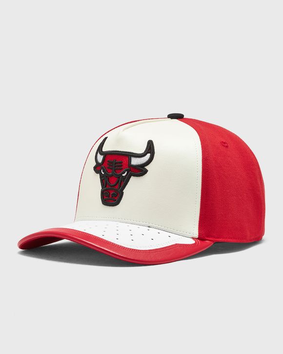 NBA DAY ONE CHICAGO BULLS PRO SNAPBACK