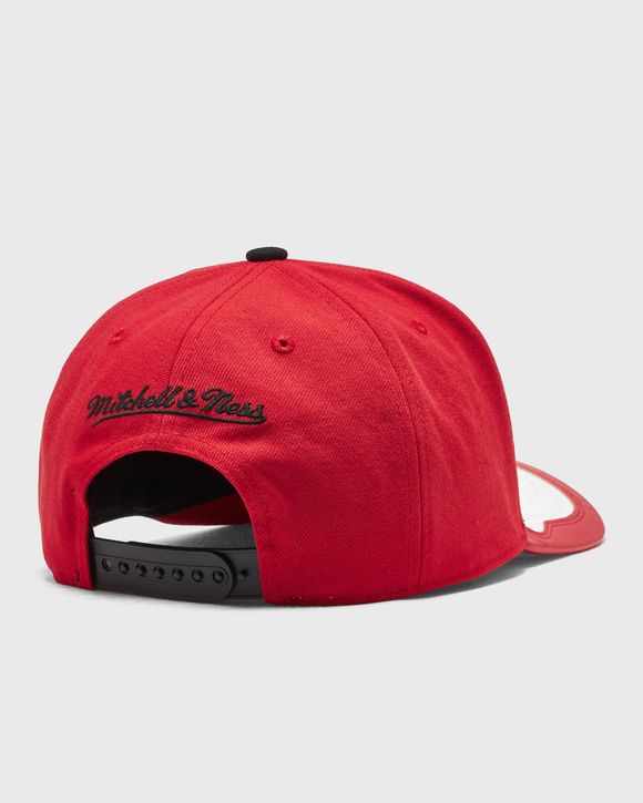 NBA DAY ONE CHICAGO BULLS PRO SNAPBACK