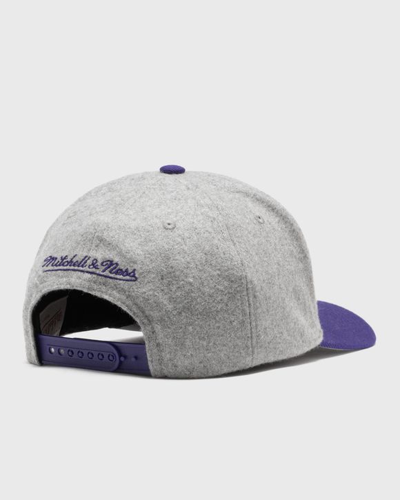 NBA TAILSWEEPS PRO SNAPBACK LOS ANGELES LAKERS
