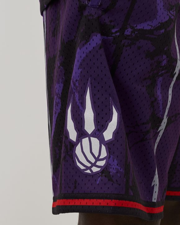 NBA TEAM MARBLE SWINGMAN SHORTS RAPTORS 1998