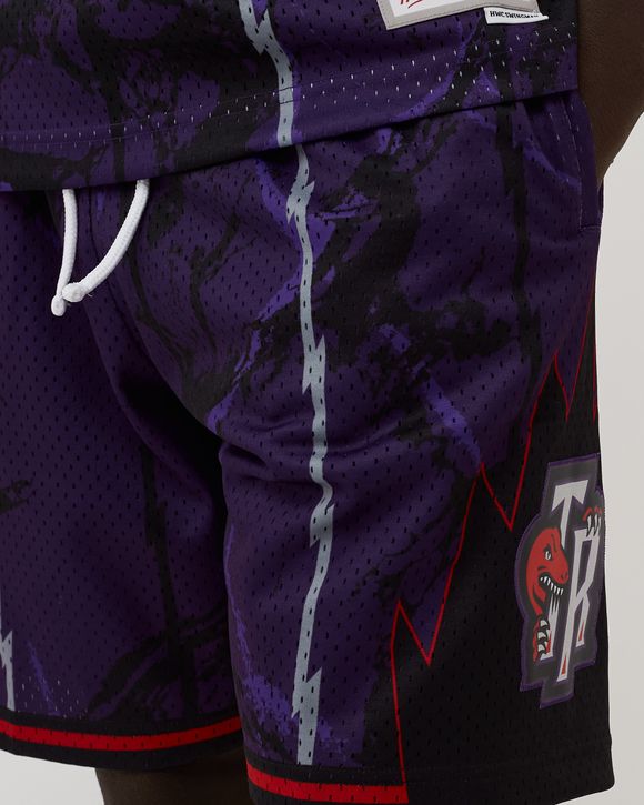NBA TEAM MARBLE SWINGMAN SHORTS RAPTORS 1998