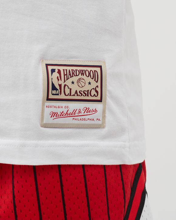 NBA VIBES TEE Chicago Bulls