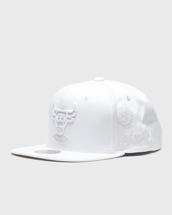 UV REACTIVE SNAPBACK Bulls