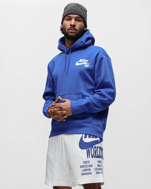 Icon Skate Hoodie