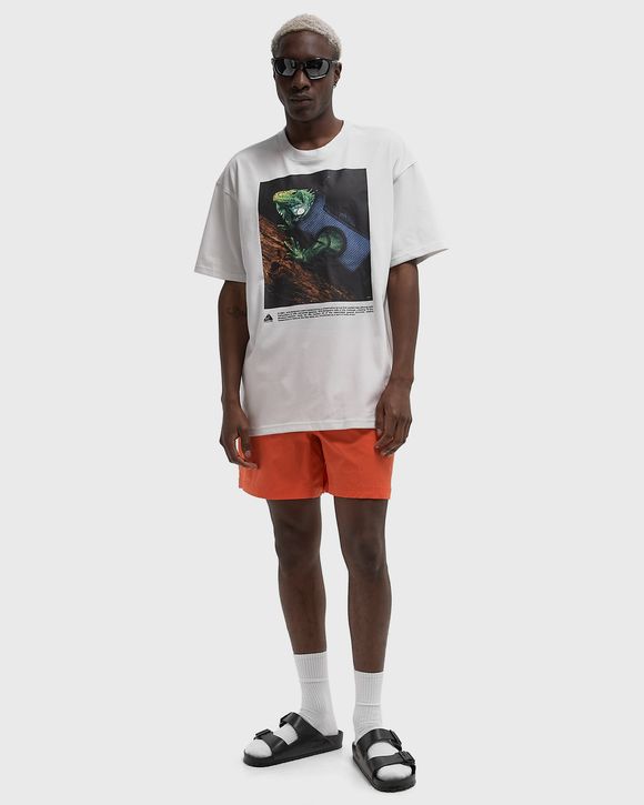 ACG DF TEE OC IGUANA VEST