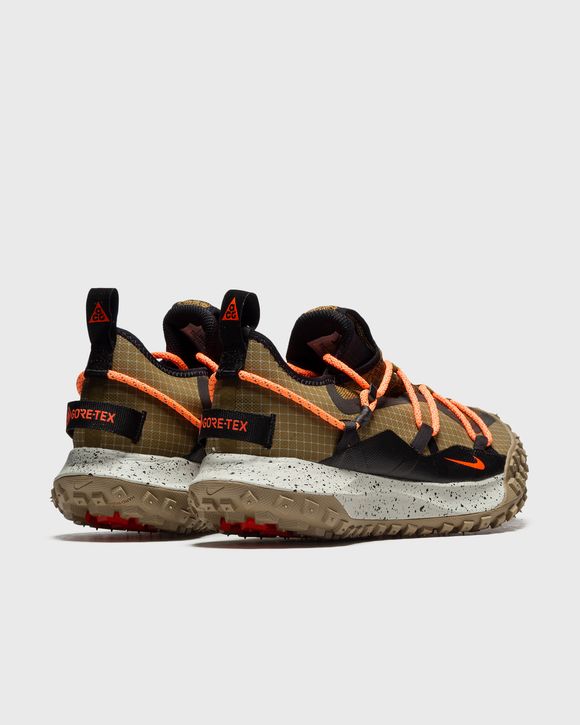 ACG MOUNTAIN FLY LOW GTX SE