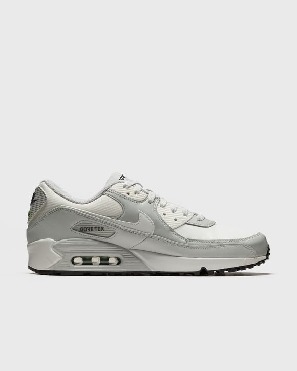 Air Max 90 GTX