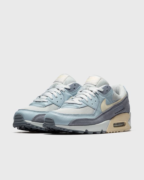 AIR MAX 90 Premium 'Ashen Slate'