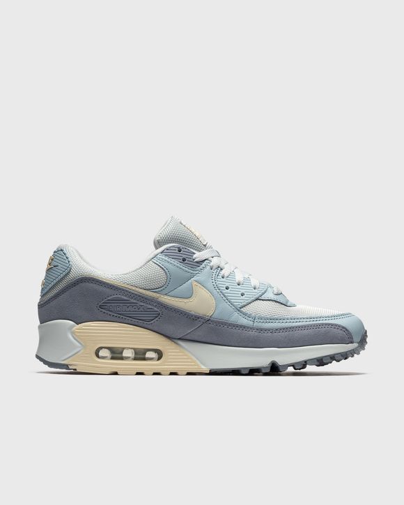 AIR MAX 90 Premium 'Ashen Slate'