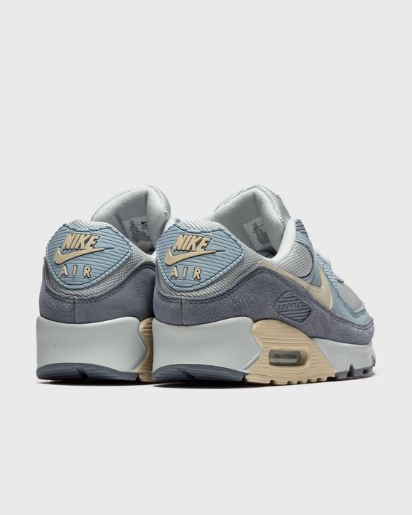 AIR MAX 90 Premium 'Ashen Slate'
