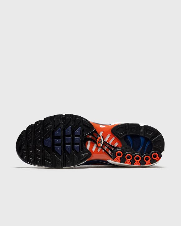 Air Max Plus SE