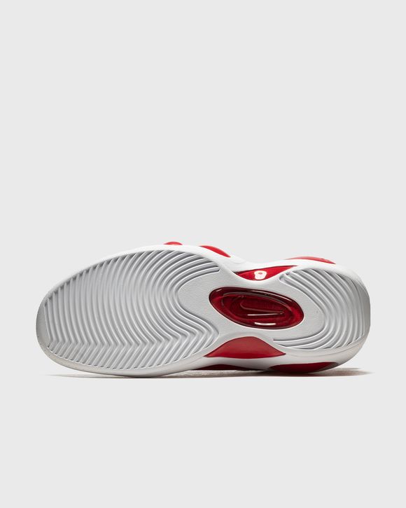 Air Zoom Flight 95