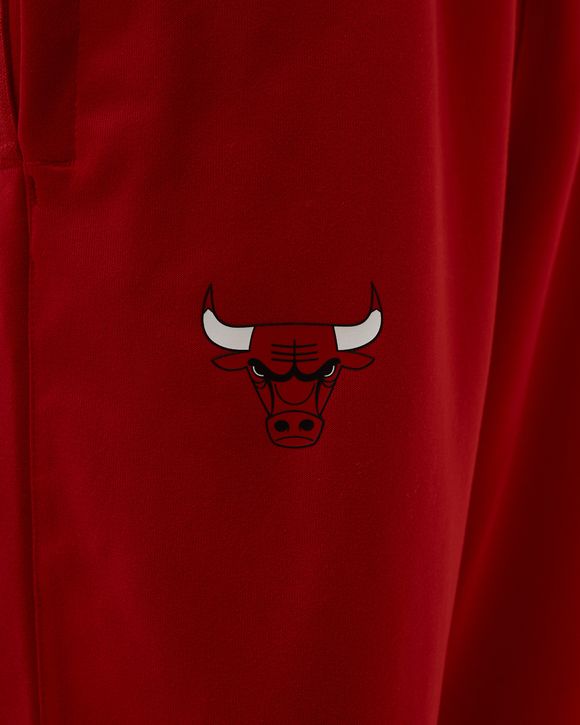 Chicago Bulls Spotlight Dri-FIT NBA Pants
