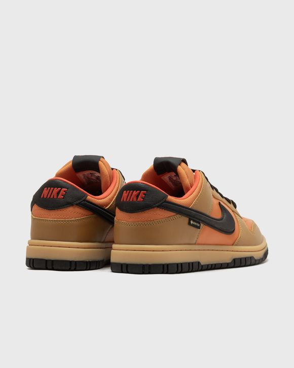 DUNK LOW GTX