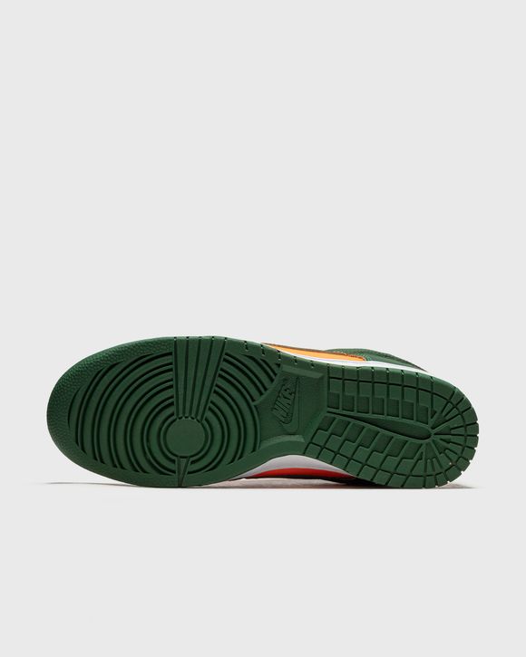Dunk Low Retro 'Miami Hurricanes'