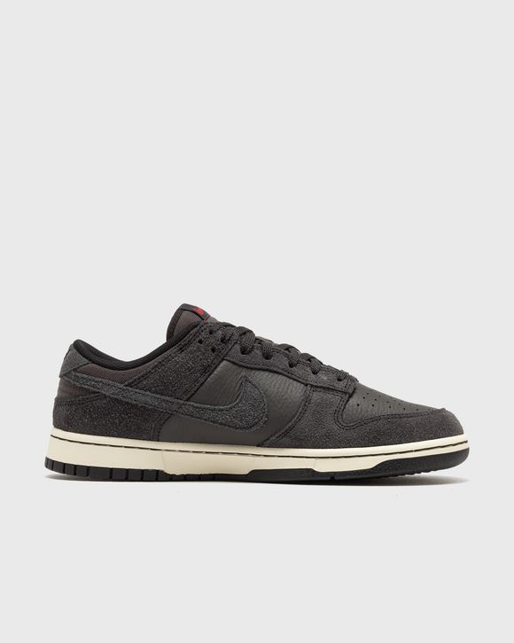 DUNK LOW RETRO PRM