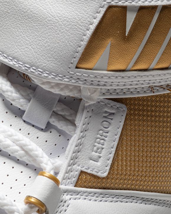 LeBron 2 "Maccabi"