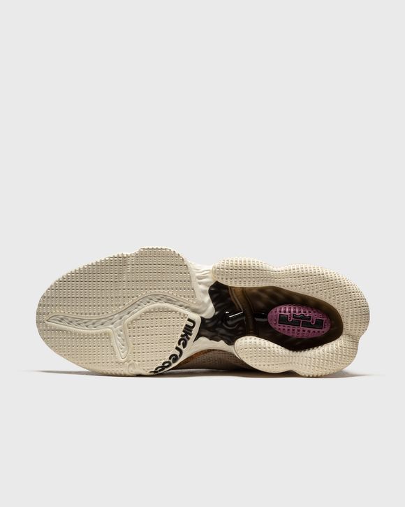 LEBRON XIX LOW