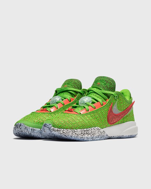 LEBRON XX