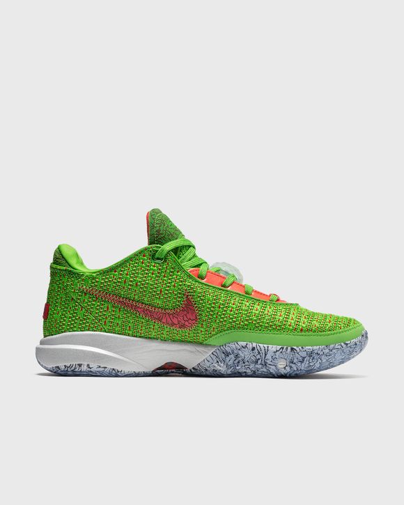 LEBRON XX