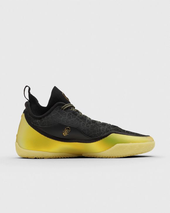 LEBRON XXIII ELITE