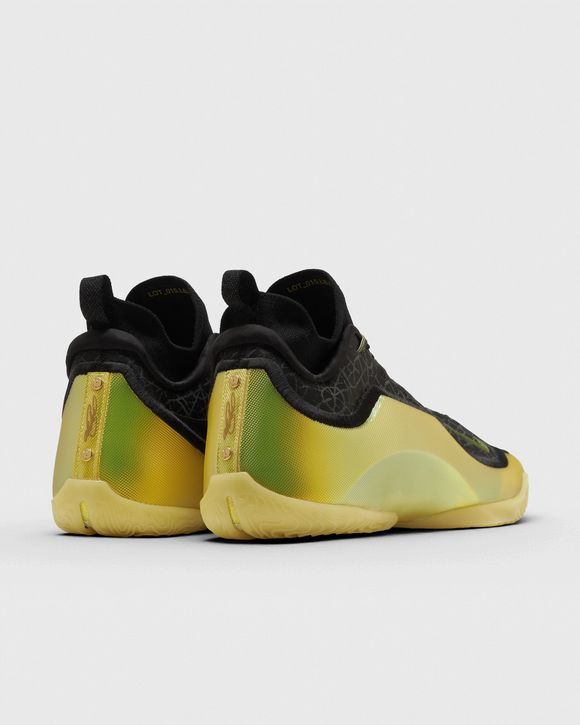 LEBRON XXIII ELITE