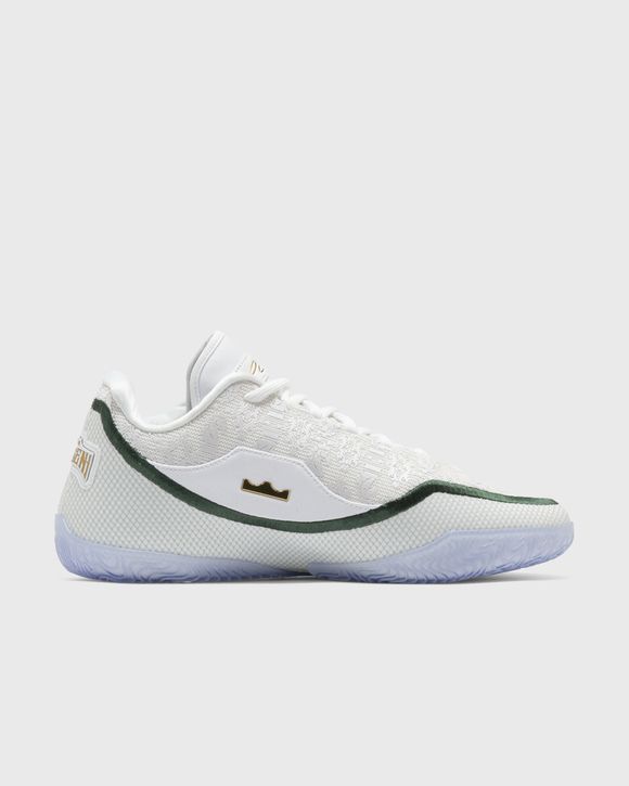 LEBRON XXIII