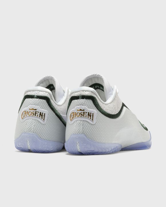 LEBRON XXIII